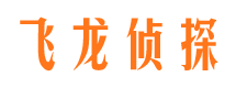 陆河市婚姻调查